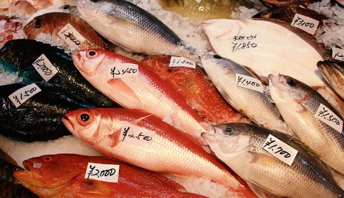 鯛やヒラメの魚市場の写真