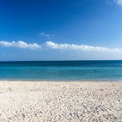 青い海、白い砂浜の写真