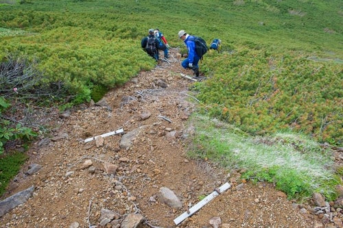 足場の悪い登山道の傾斜を下る登山者の写真