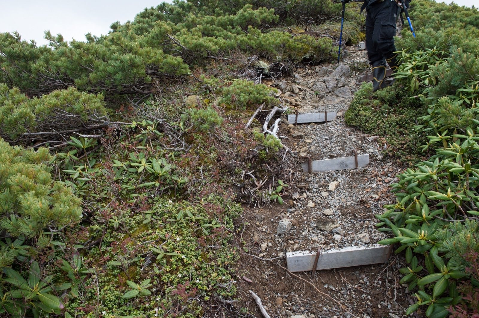 「登山道整備が必要な木材の階段」の写真