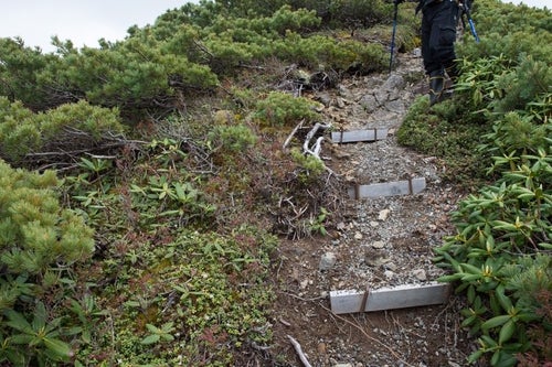 登山道整備が必要な木材の階段の写真