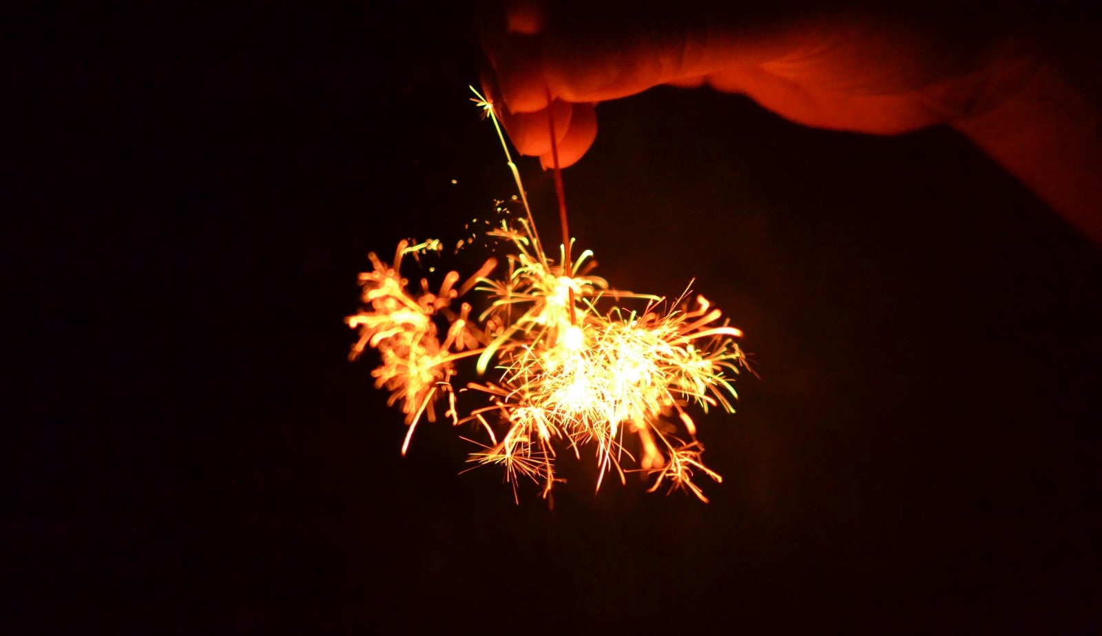 「線香花火を手で持つ」の写真