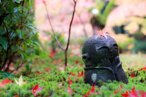 京都の紅葉と圓光寺のお地蔵さんの写真