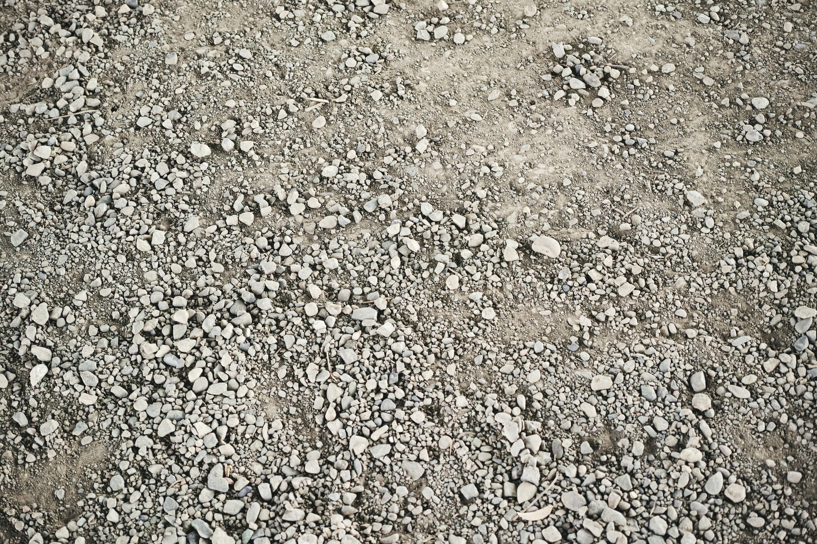 「カラカラに乾いた地面の土（テクスチャ）」の写真