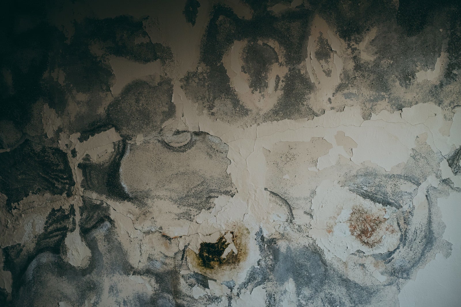 「呪いのようにペンキが剥がれた壁（テクスチャ）」の写真
