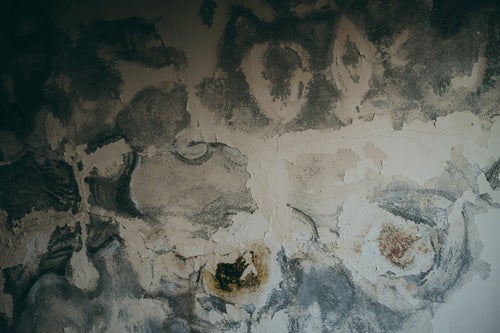 呪いのようにペンキが剥がれた壁（テクスチャ）の写真