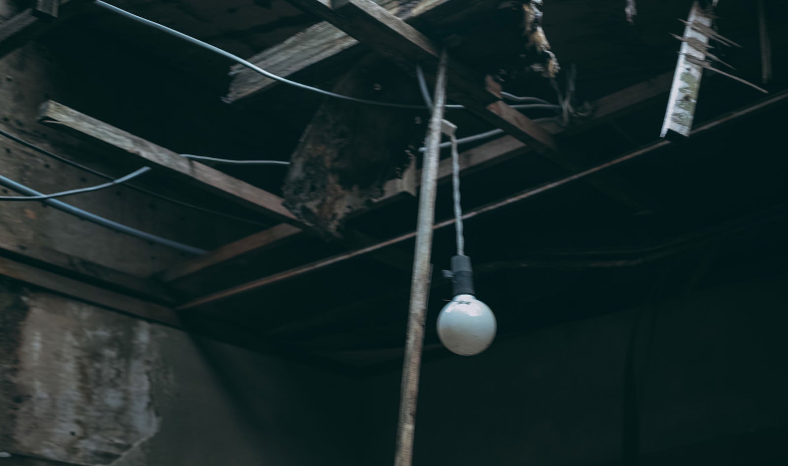 「崩れゆく天井と電球」の写真
