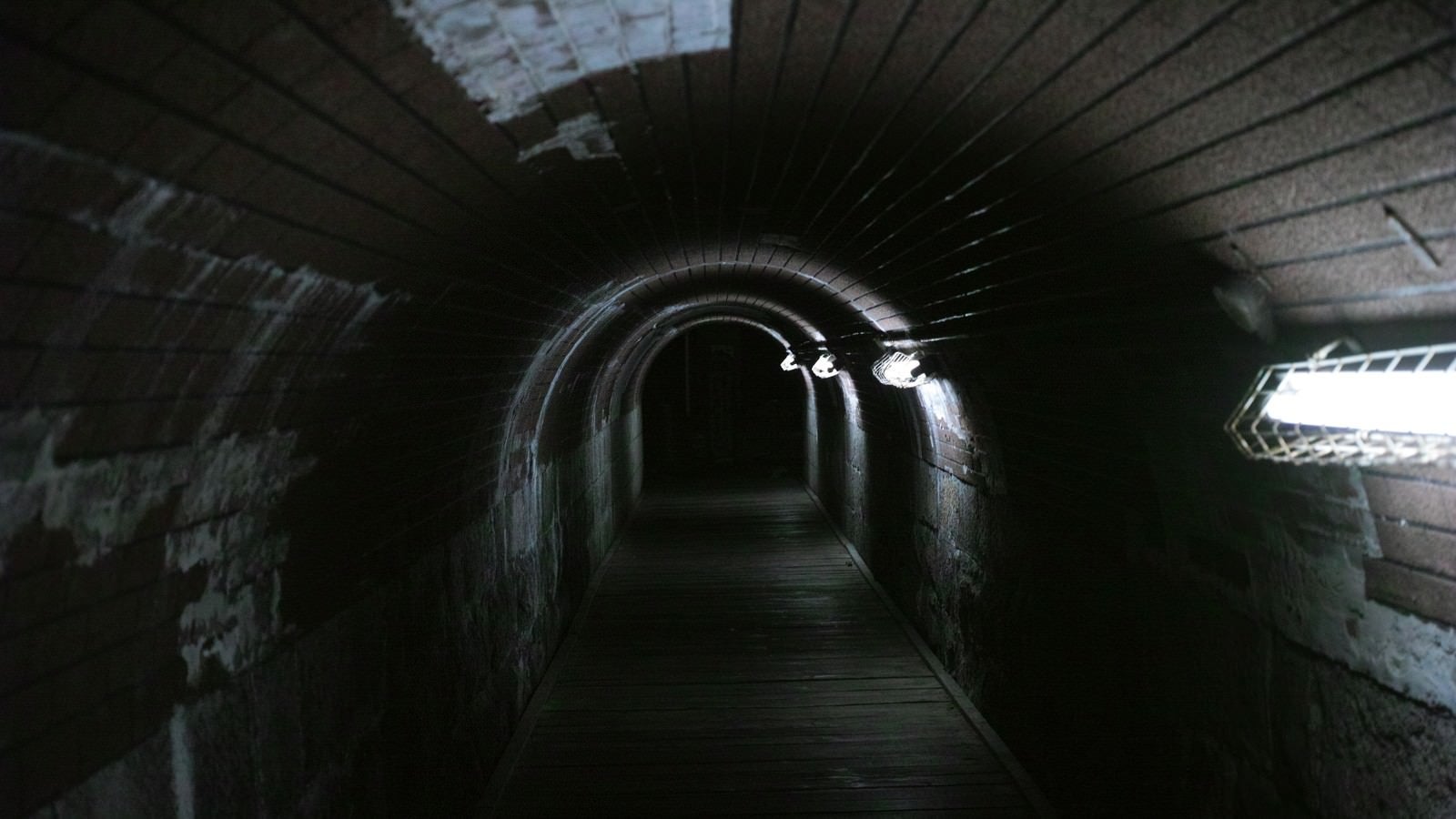 「仄暗いトンネル」の写真