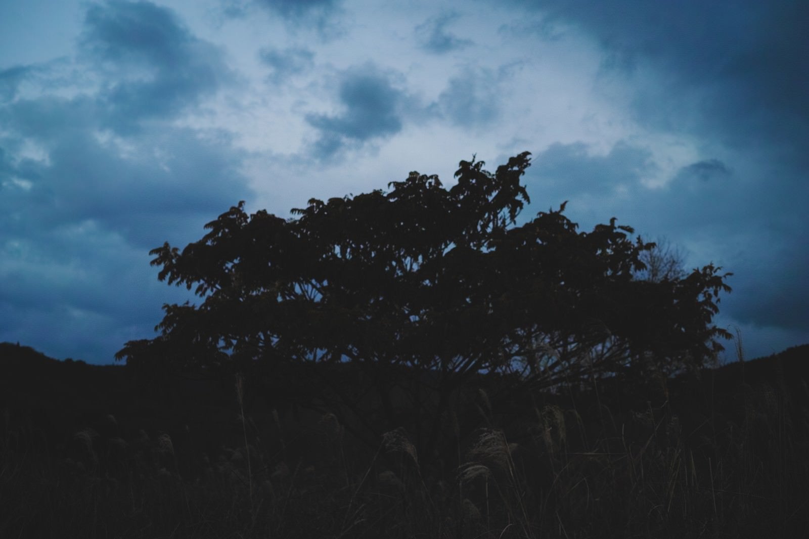 「日没前の不気味な天気」の写真