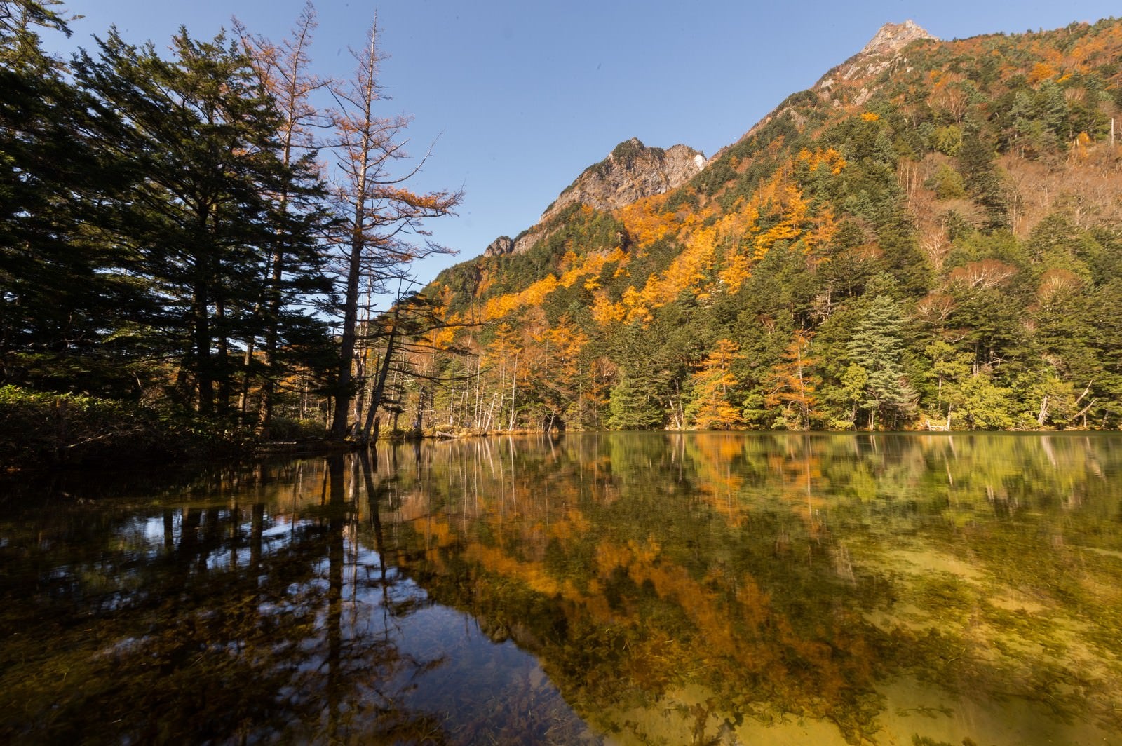 「澄み渡る秋の明神池」の写真