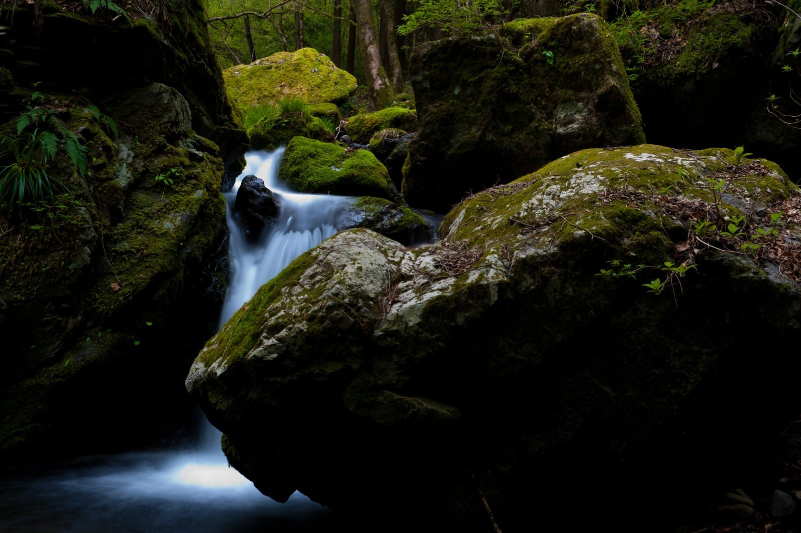 「海沢探勝路の三ツ釜の滝」の写真