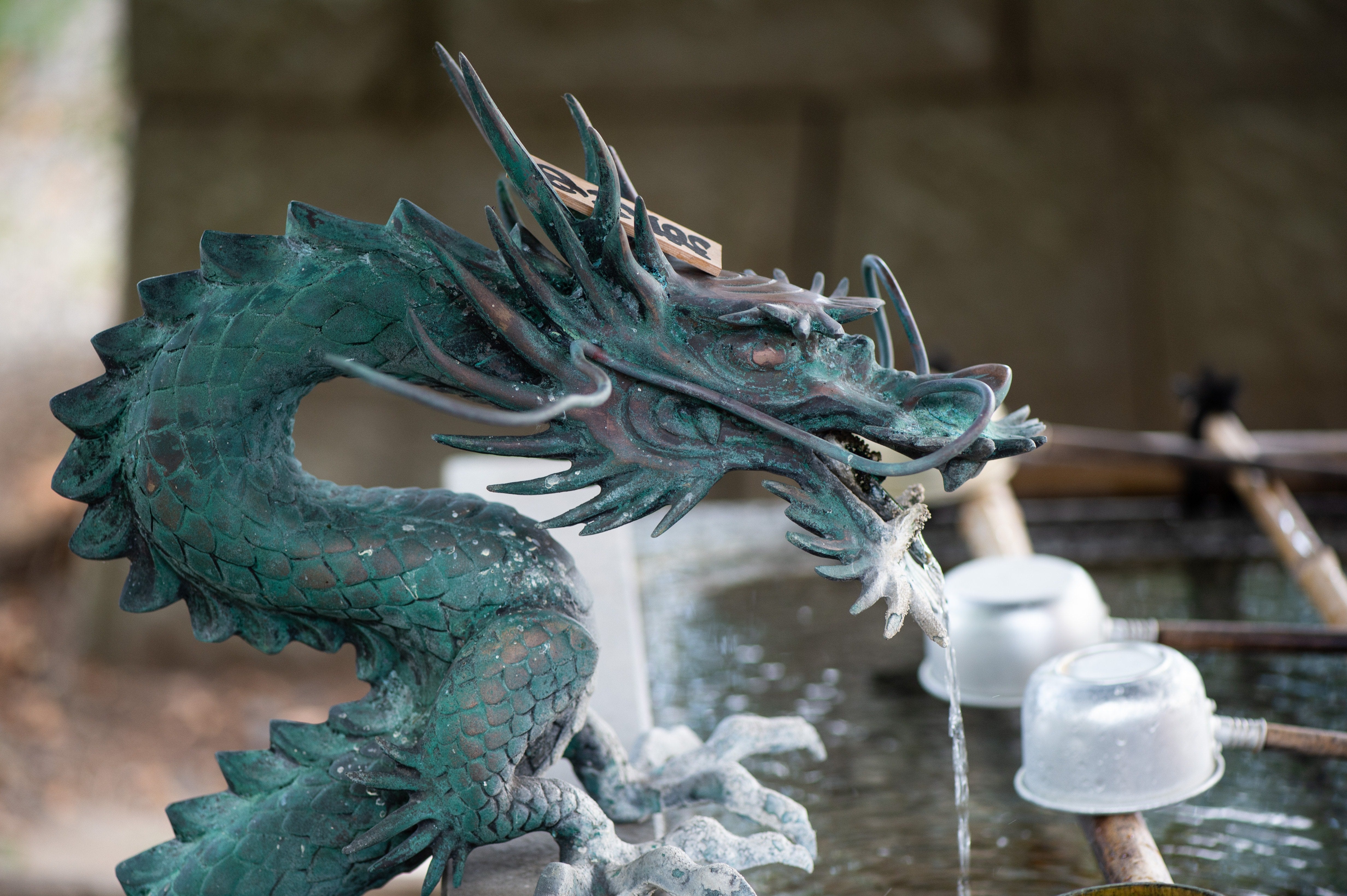 玉前神社の手水舎の龍の無料の写真素材 - ID.26936｜フリー素材 ぱくたそ