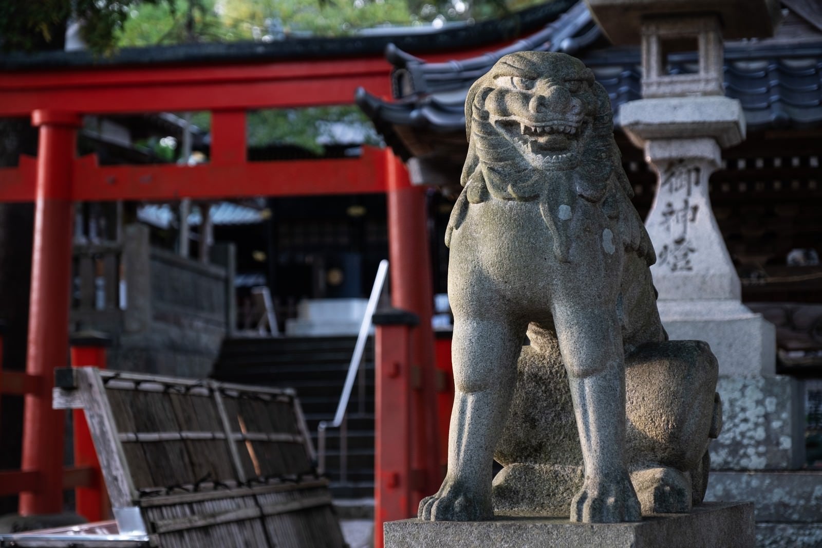 「玉前神社を守る獅子（千葉県一宮町）」の写真