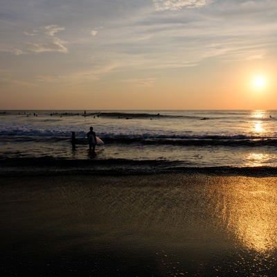 朝日に照らされる引波の波打ち際とサーファー達（千葉県一宮町）の写真