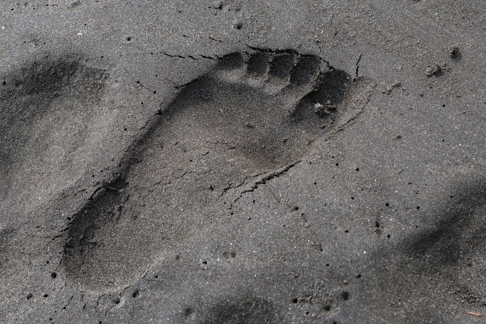 「砂浜に残った足跡」の写真