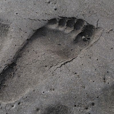 砂浜に残った足跡の写真