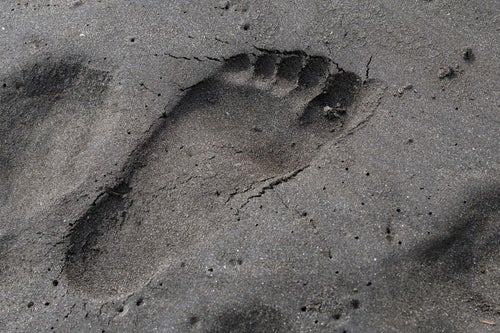 砂浜に残った足跡の写真