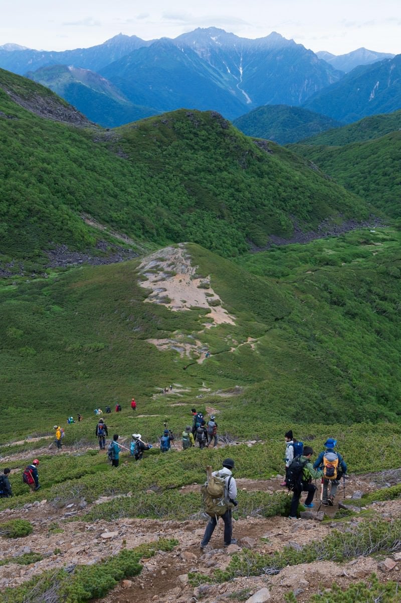 「3000峰の北アルプスを望みながら歩く乗鞍新登山道」の写真