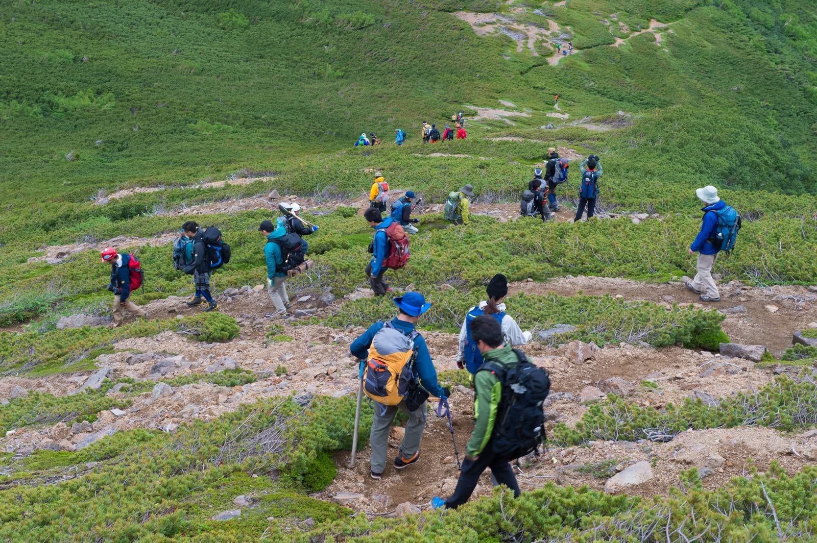「乗鞍新登山道の整備箇所に向かう登山者たち」の写真
