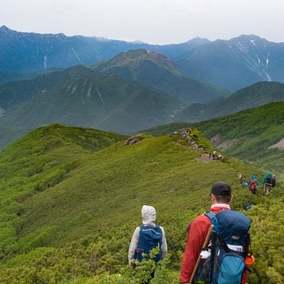 焼岳越しに笠ヶ岳を望む乗鞍新登山道と登山者の写真
