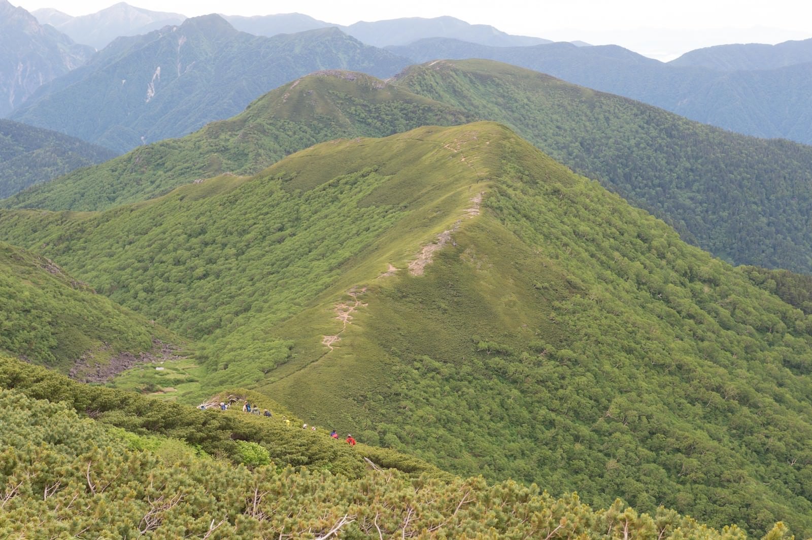 「山の魅力を堪能することができる乗鞍新登山道」の写真