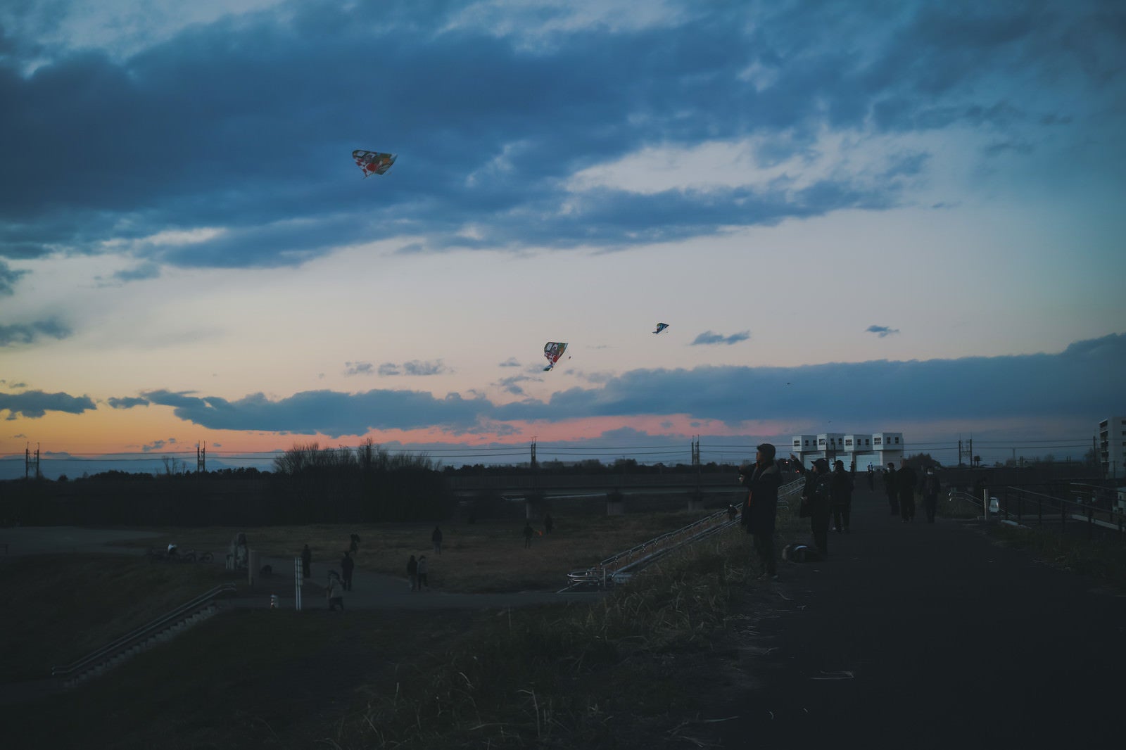 「夕暮れに凧上げする人たち」の写真