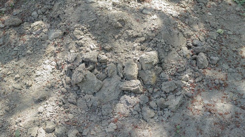 掘り返された地面（テクスチャー）の写真