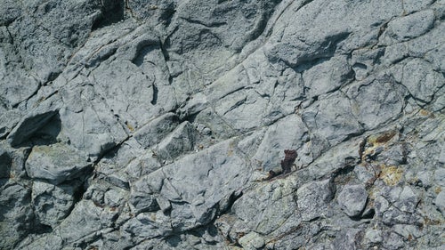 自然な凹凸と亀裂が入った岩壁の写真