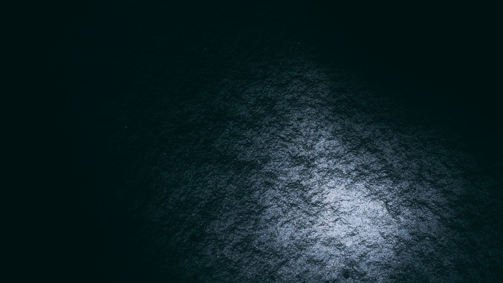「不気味に光る岩肌」の写真