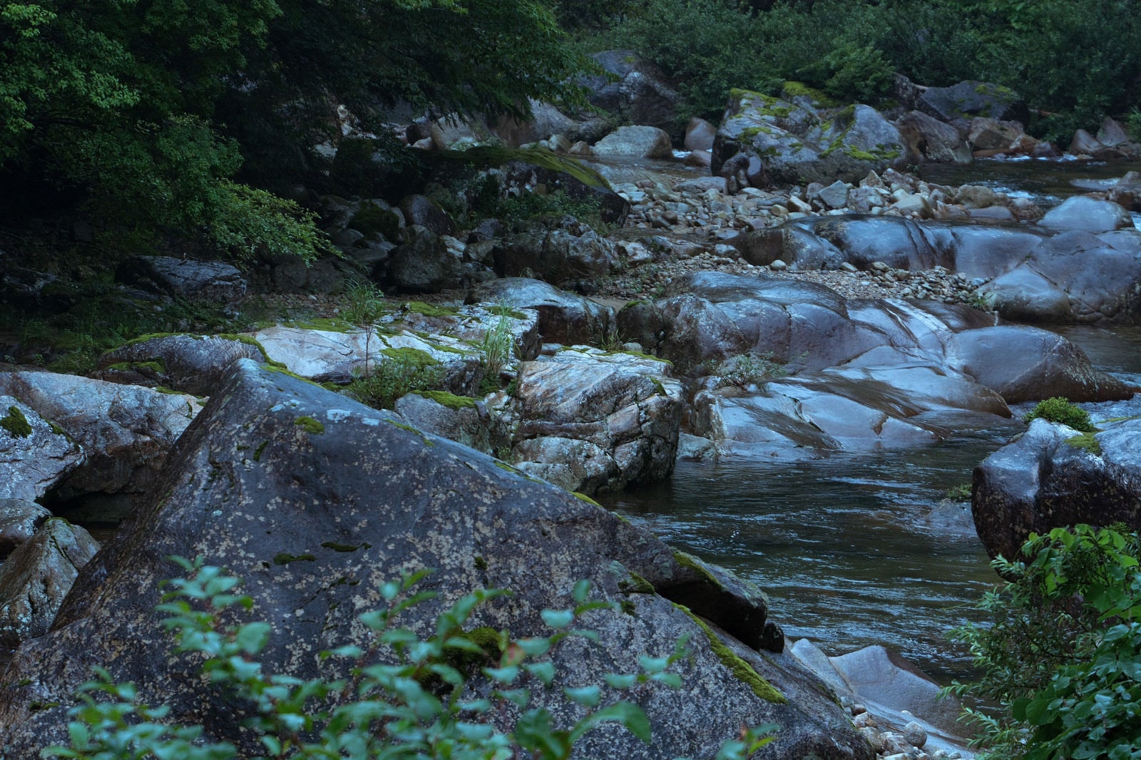 「湿った渓谷」の写真
