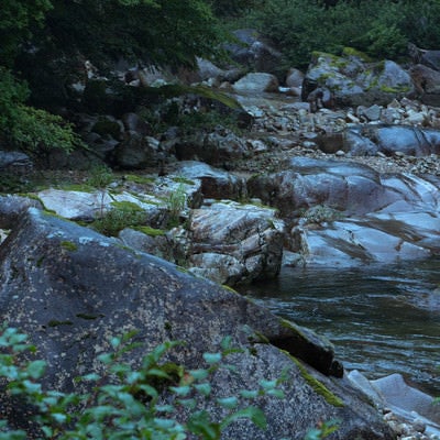 湿った渓谷の写真