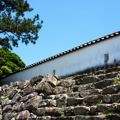 萩城の銃眼土塀の写真