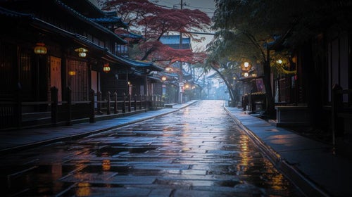 雨上がりの日本風の通りの写真