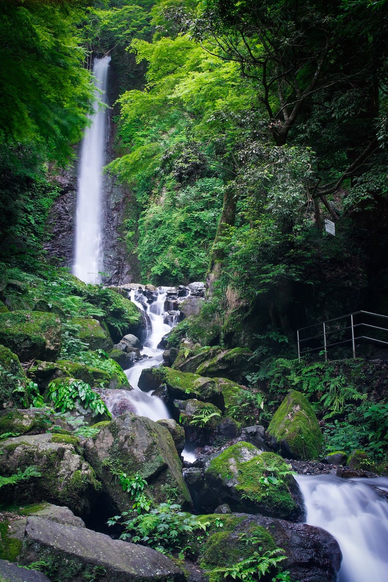 「緑に囲まれた養老の滝」の写真