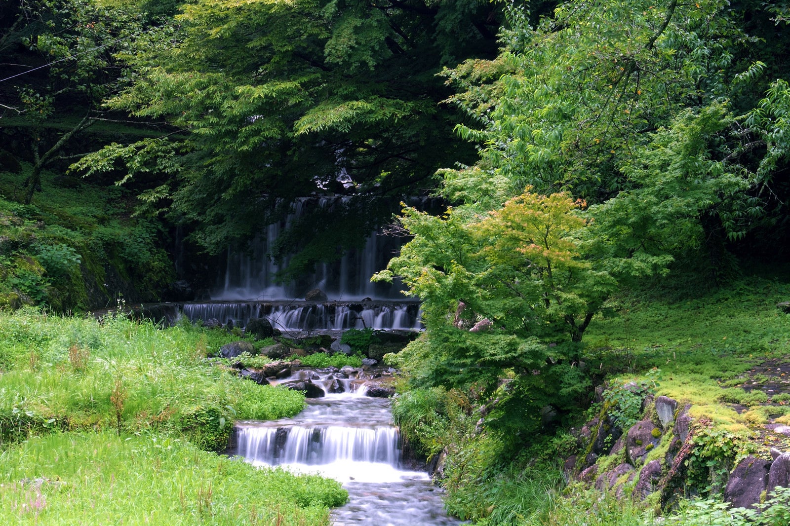 「新緑の森から流れ落ちる滝」の写真