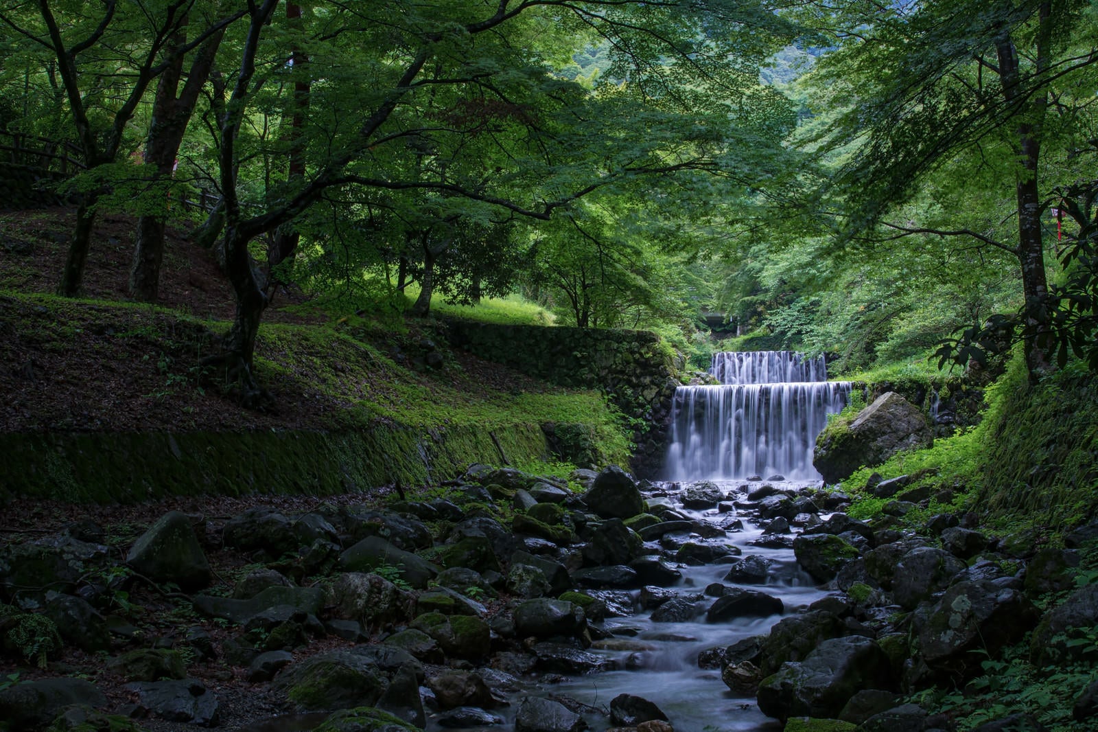 「滝谷の河原で新緑に包まれる」の写真