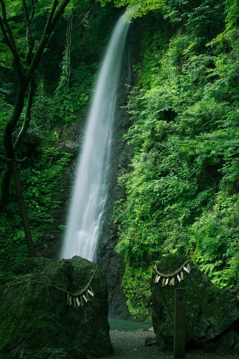 「しめ縄の張られた岩と養老の滝」の写真
