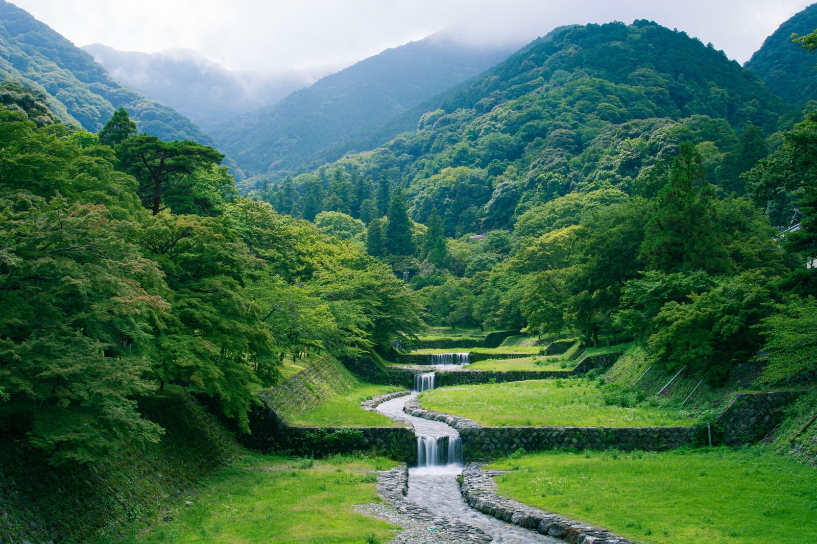 「新緑の森から段々に流れる小川」の写真