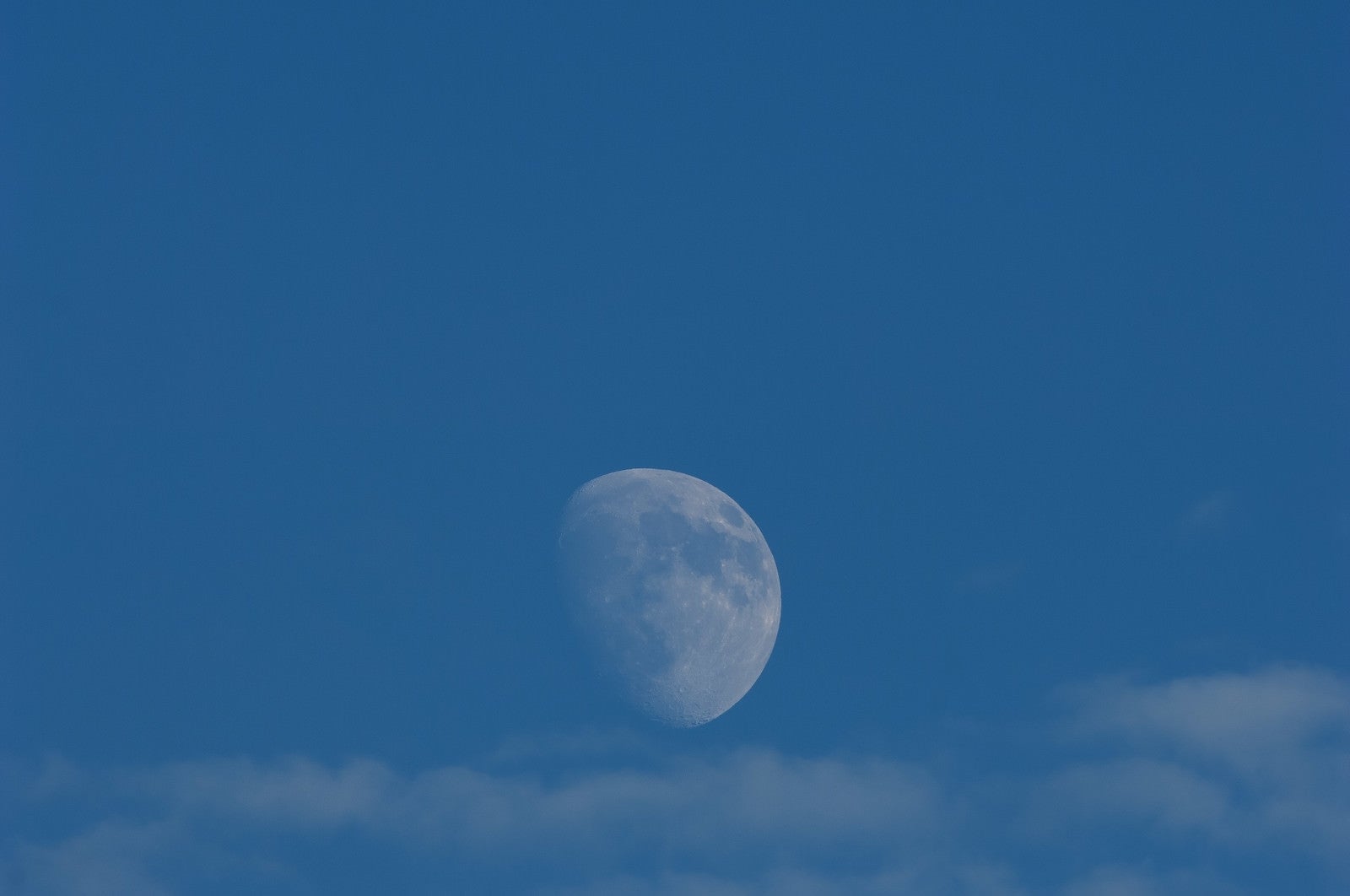 「青空に浮かぶ月」の写真