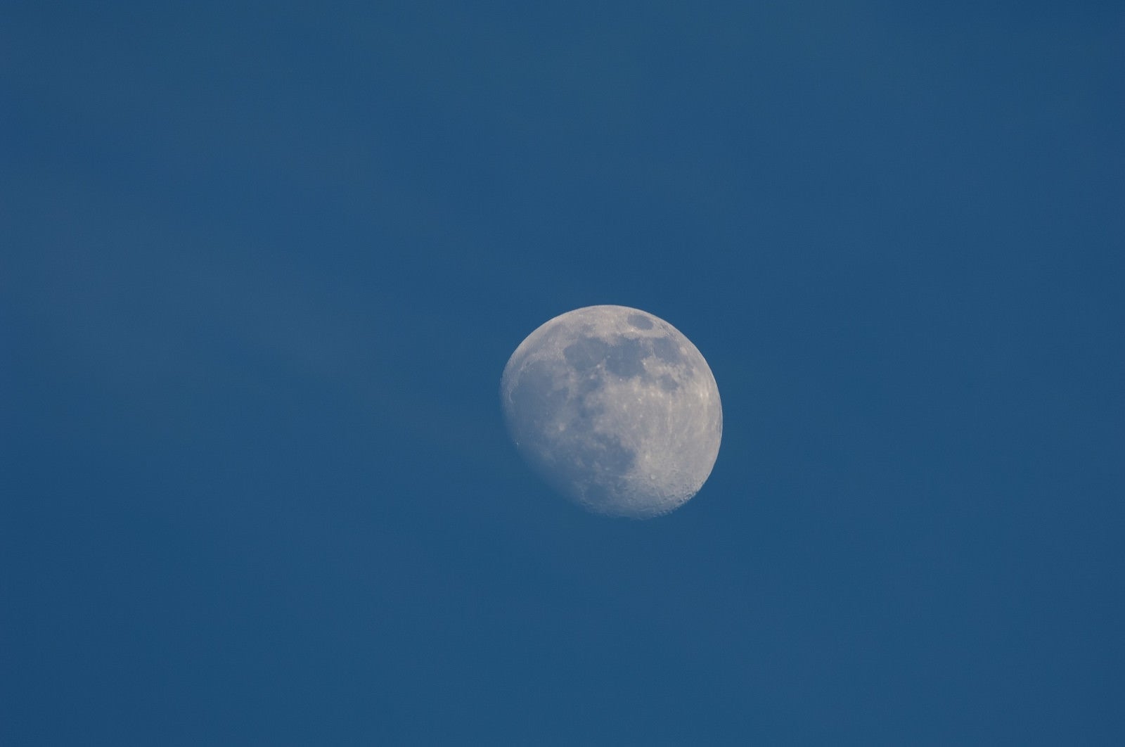 「昼間の月(十日夜の月)」の写真