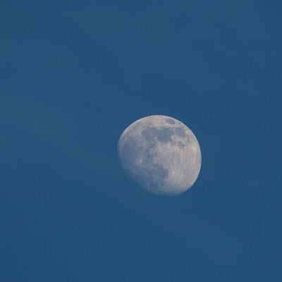 昼間の月(十日夜の月)の写真