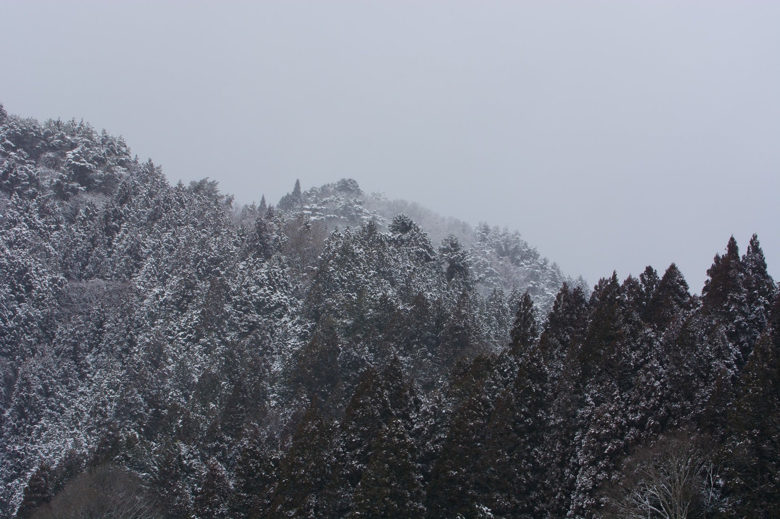 「雪に霞む山間」の写真