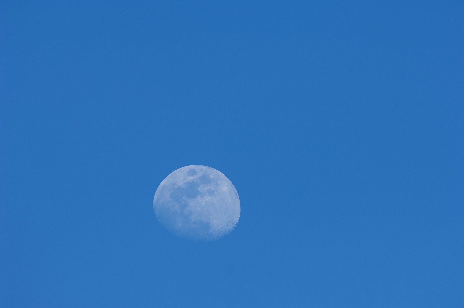 「青空の中の白い月」の写真