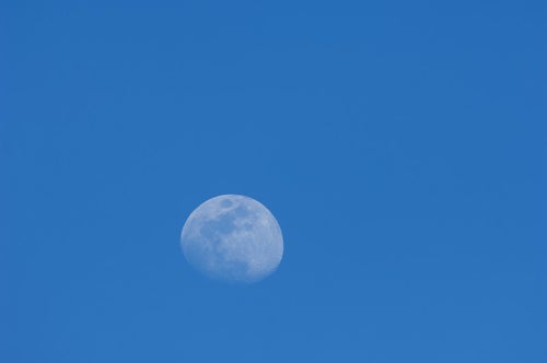 青空の中の白い月の写真