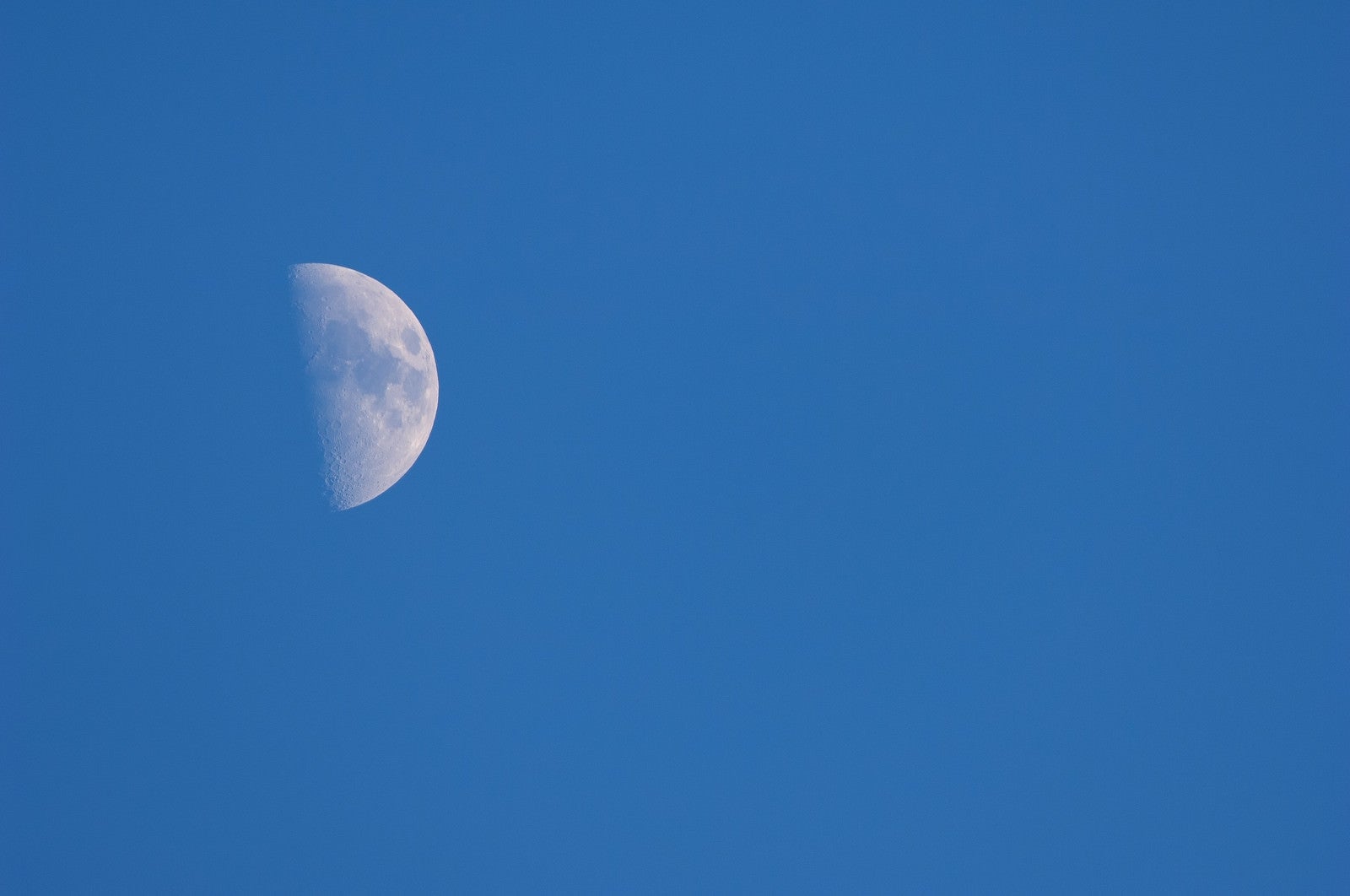 「上弦の月」の写真