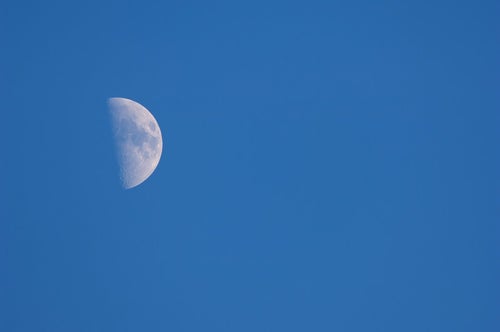 上弦の月の写真