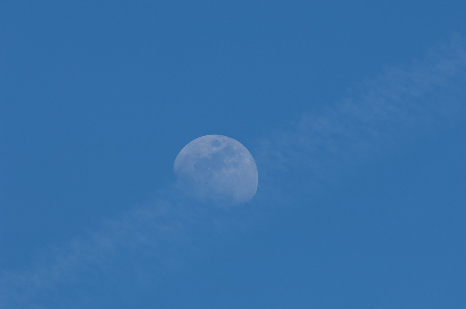 「うっすらと見える月」の写真