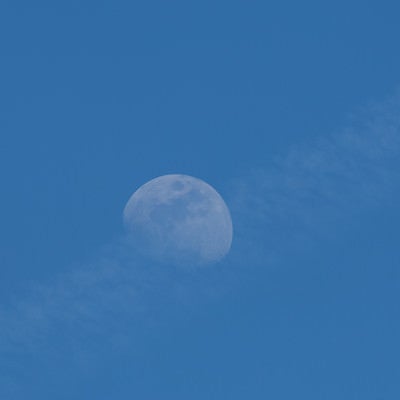うっすらと見える月の写真
