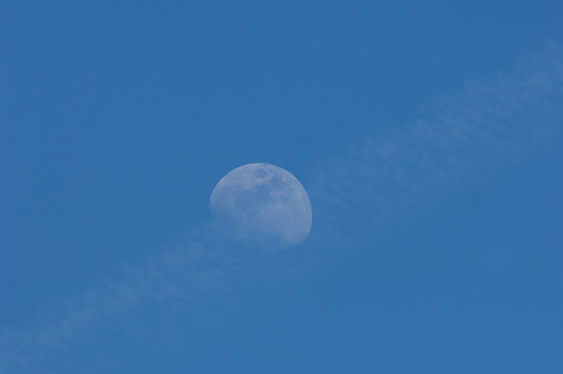 うっすらと見える月の写真