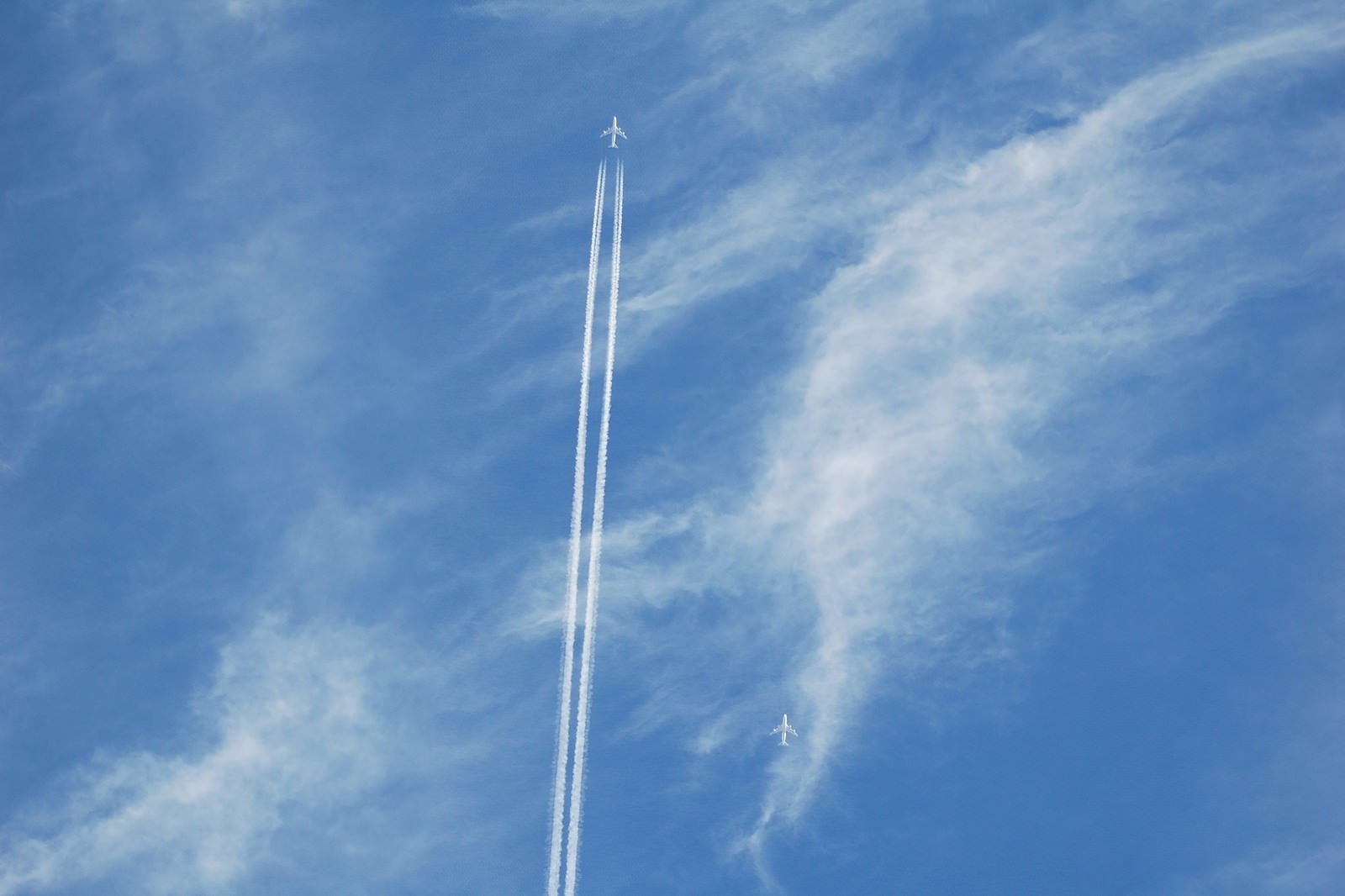 「空に真っすぐ描かれた飛行機雲」の写真